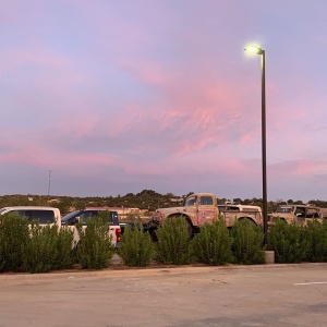IMG 7259